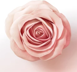 Pantene Pro-V Miracles Lift & Volume Haarverdickendes Shampoo -Mandarina Duck Fragrances-Shop MAM 10416548 SHOP IMAGE 1.4