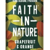 Faith In Nature Conditioner Grapefruit & Orange