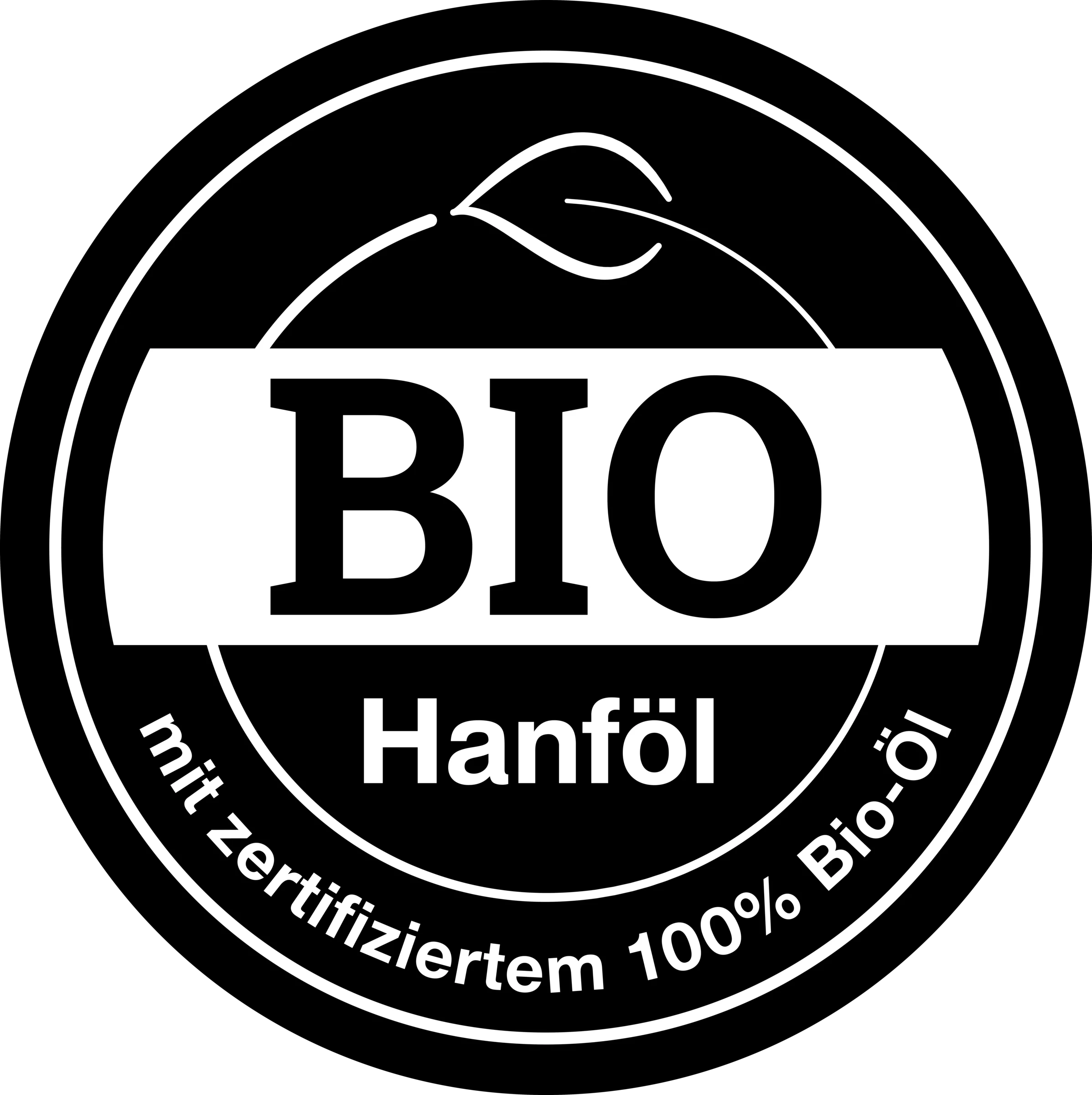 Hello Nature Hanföl Shampoo Schwung & Kraft 4 Hello Nature Hanföl Shampoo Schwung & Kraft – Bild 2