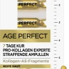 L’Oréal Paris Age Perfect Pro-Kollagen Experte 7 Tage Ampullen Kur -Mandarina Duck Fragrances-Shop MAM 7180596 SHOP IMAGE 1.4