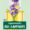 Garnier Bio Straffendes Gesichts-Öl Regenerierendes Bio-Lavendel 1 Garnier Bio Straffendes Gesichts-Öl Regenerierendes Bio-Lavendel -Mandarina Duck Fragrances-Shop MAM 7731409 SHOP IMAGE 1.4