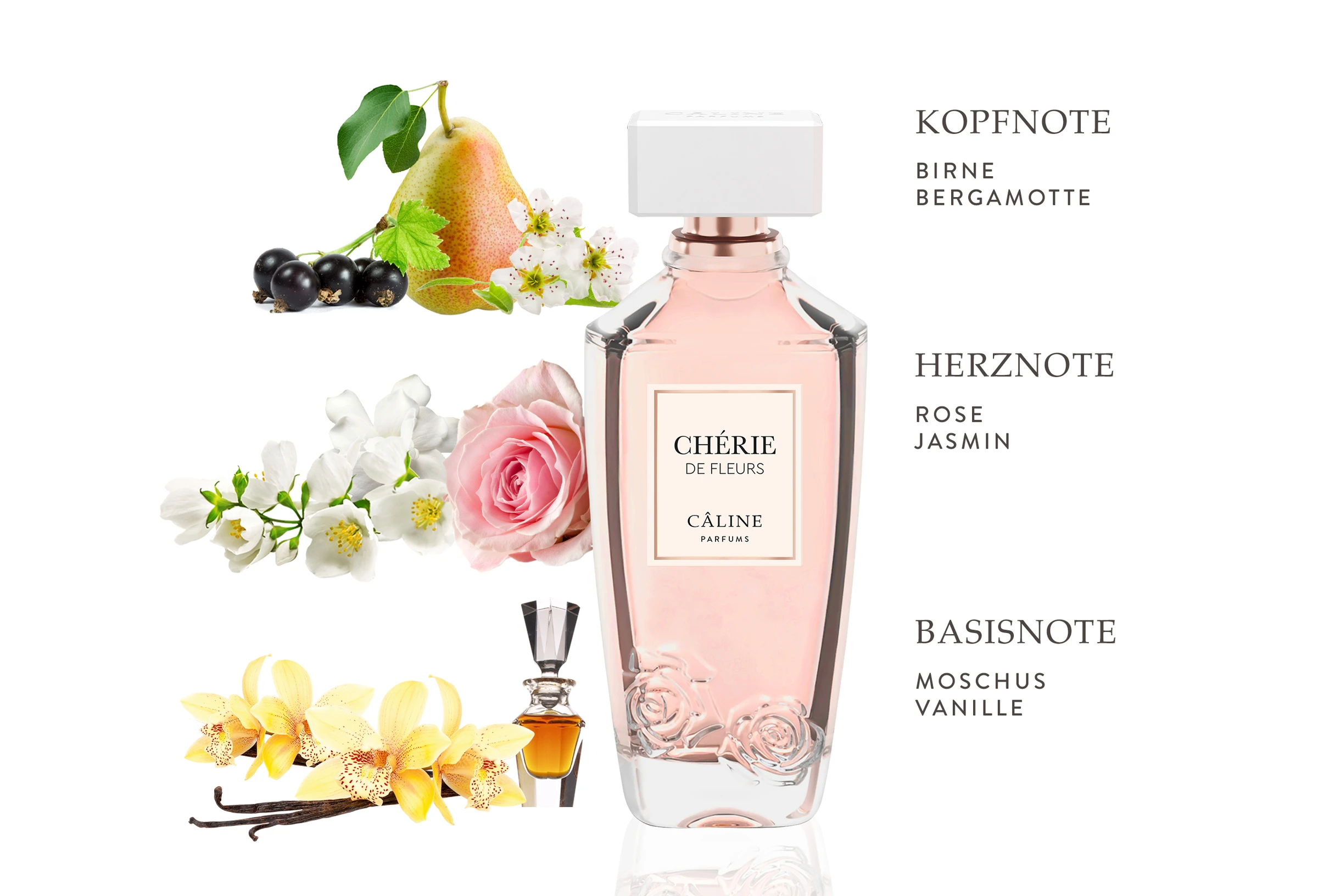 Câline Chérie De Fleurs, EdP 60 Ml 7 Câline Chérie De Fleurs, EdP 60 Ml – Bild 5