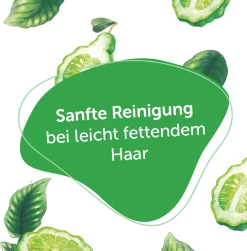 Alterra NATURKOSMETIK Festes Shampoo Bio-Bergamotte & Bio-Olive -Mandarina Duck Fragrances-Shop MAM 8397368 SHOP IMAGE 1.4