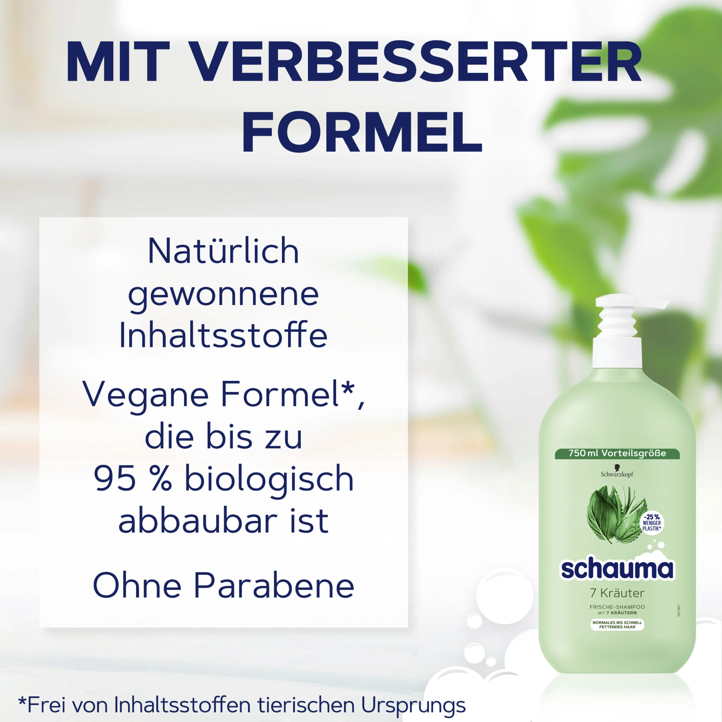 Schauma Shampoo 7 Kräuter 8 Schauma Shampoo 7 Kräuter – Bild 6