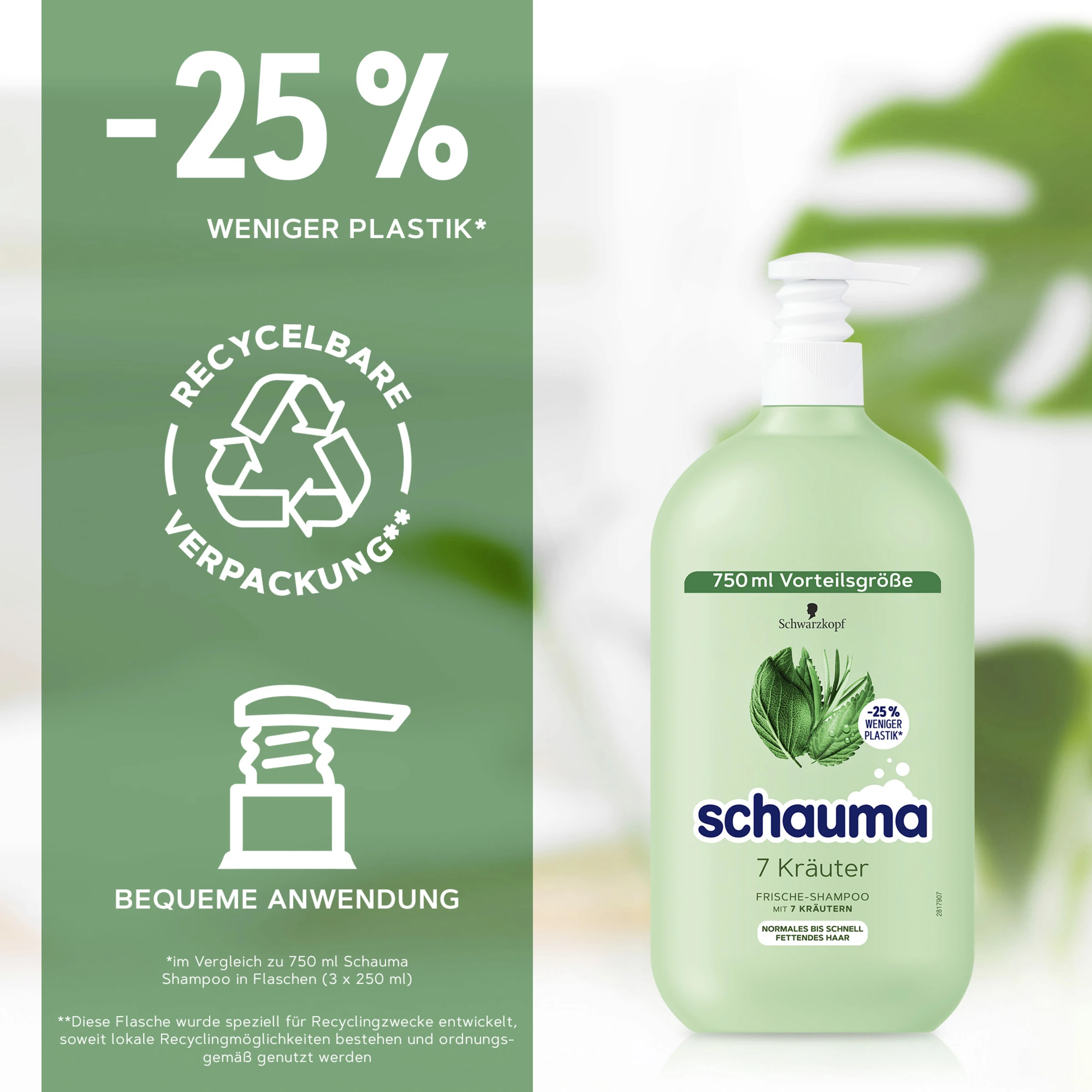 Schauma Shampoo 7 Kräuter 7 Schauma Shampoo 7 Kräuter – Bild 5