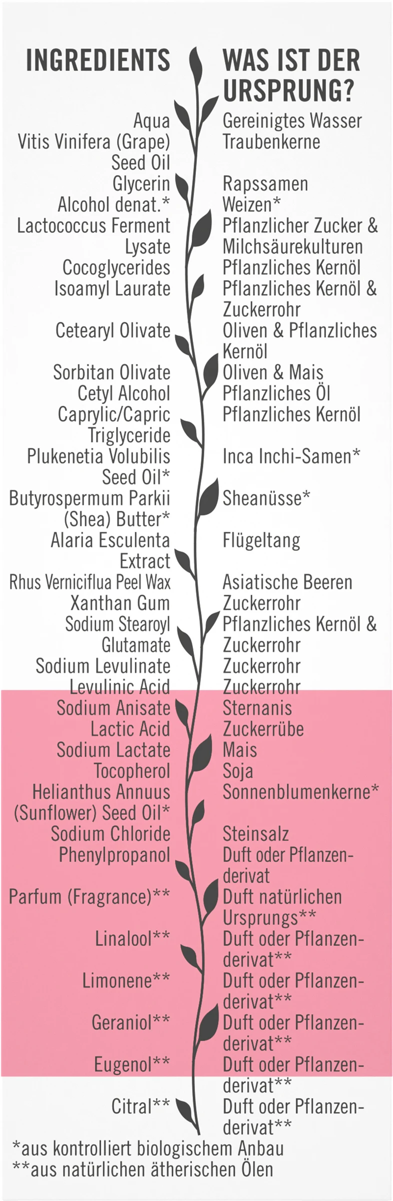 Sante Schützende 24H Feuchtigkeitscreme 5 Sante Schützende 24H Feuchtigkeitscreme – Bild 3